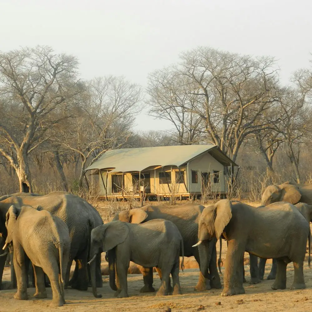 claire roadley zhcsqxsq8mc unsplash