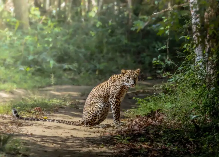 img 6297 enhanced nr 2